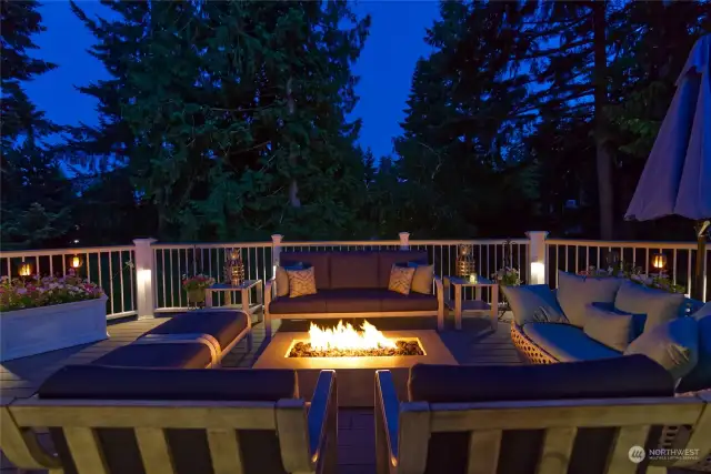 Relax in front of one of the TWO natural gas firepits!