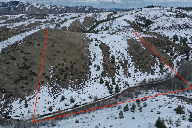 Lot lines are approximate