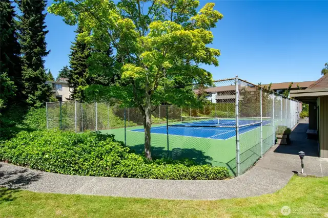 Tennis anyone? Your private community court.