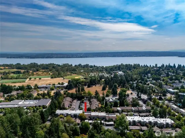Drone photo of the Parkpoint community in the foreground and looking out to Magnuson Park and Lake Washington beyond.  There are many recreational opportunities, such as, a dog park, hiking trails and swimming.