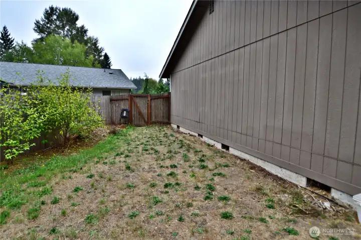 16415 Backyard