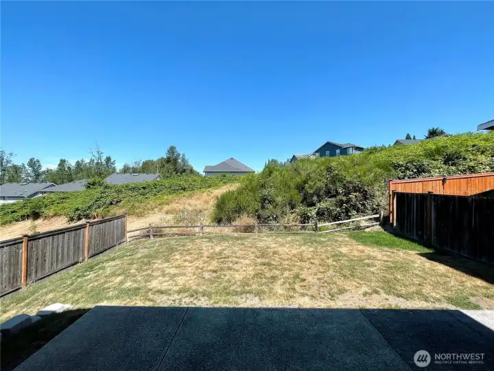 Expansive and open backyard