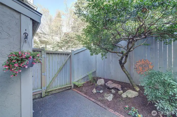 Garden shed and patio