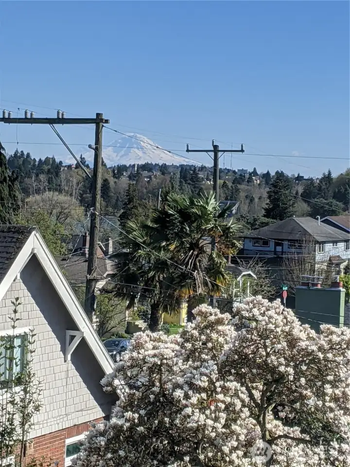 Mt. Rainier from bedrooms