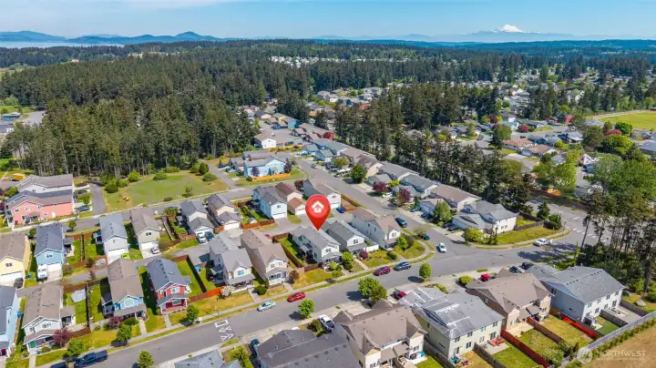 Aerial view, don't miss Mount Baker in the background!