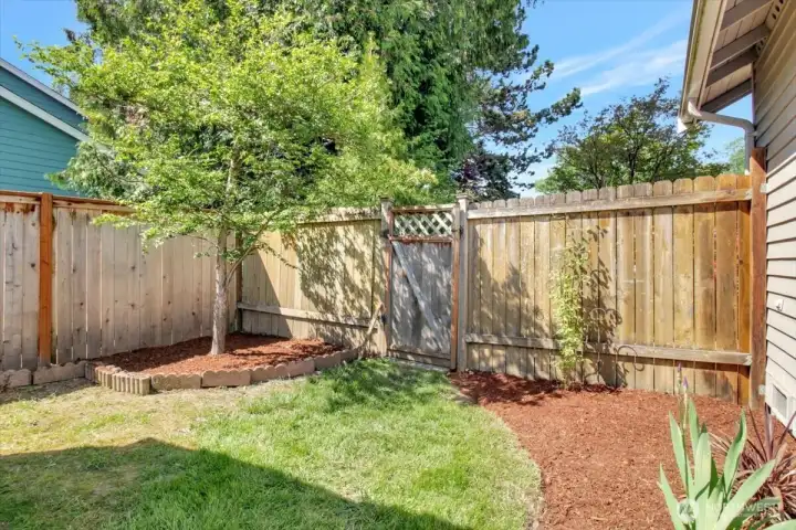 Backyard Gate