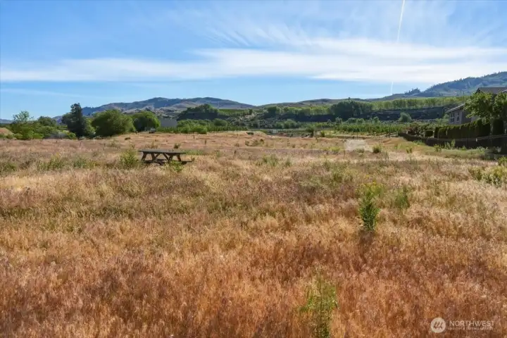 Ample room to build your dream home Ample room to build your dream home