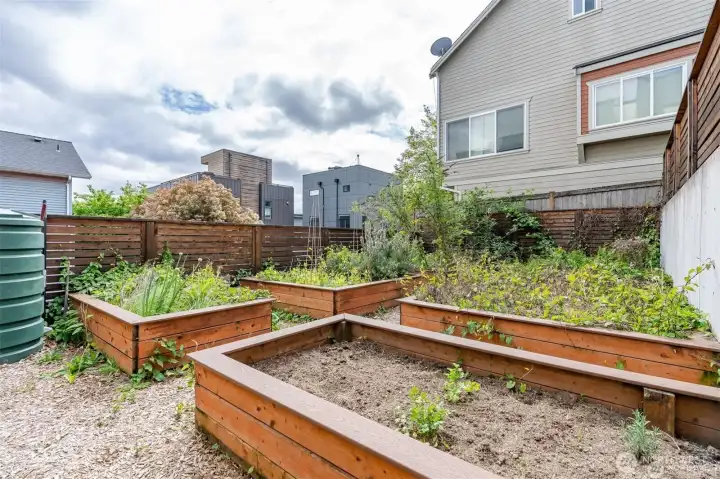 Pea patch garden!