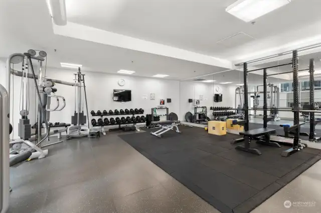 Massive fitness center - yoga and gym with top of the line equipment.