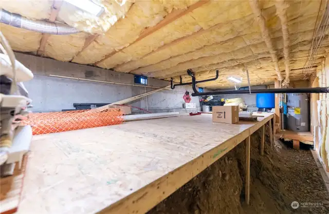 Daylight basement Utility room.