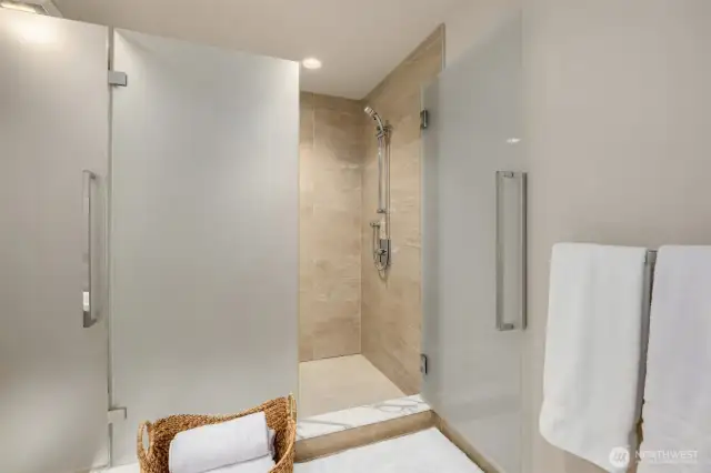 Elegant Walk-in Shower