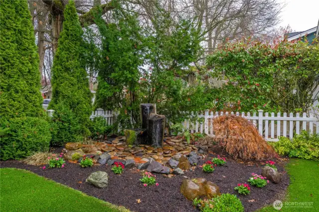 Water feature in the yard.