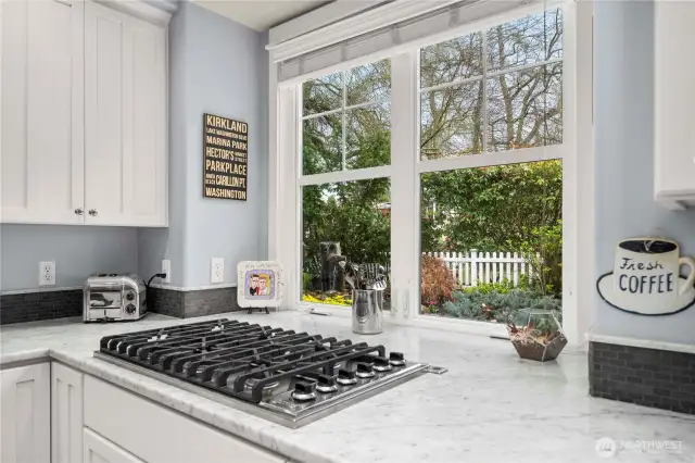 Viking 6 burner cooktop - enjoy cooking with a view of the water feature.