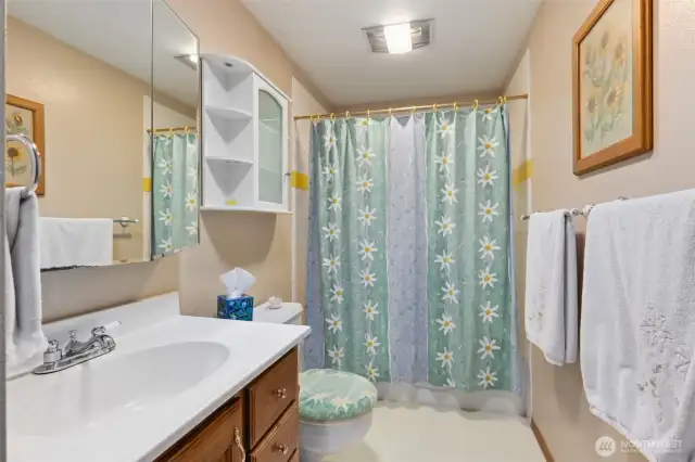 Full guest bath with tub