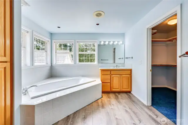 Second vanity and walk-in closet, plus soaking tub.