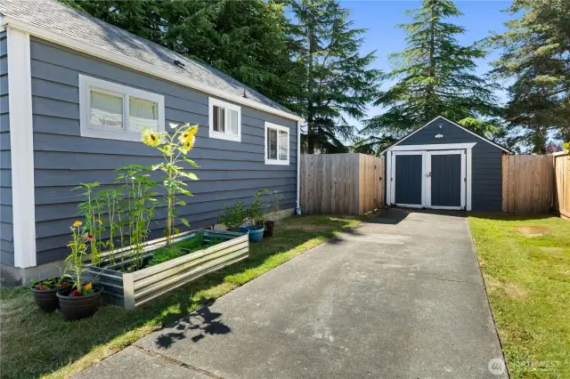 raised flower beds on the side of the house, new windows on this side.