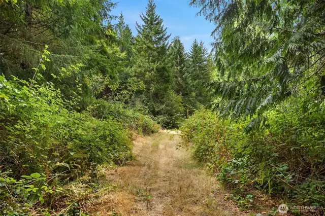 Winding trails throughout the property