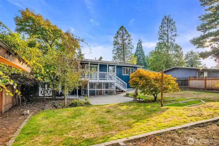 A backyard for aspiring arborists or BBQ chefs.