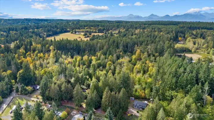 Drone photo #4.