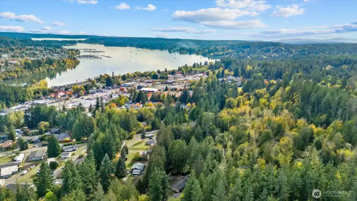Drone photo #6.