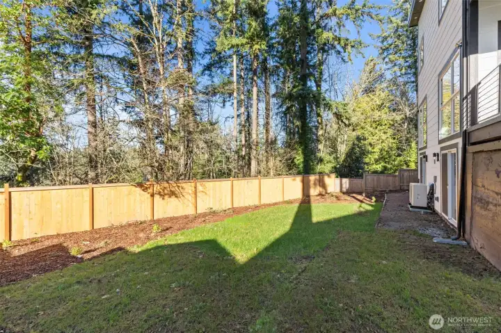Spacious Backyard Fenced