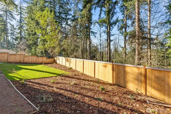 Spacious Backyard Fenced