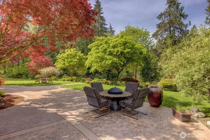The patio overlooks the mature landscaping and creek. Look closely and you'll see the eagles