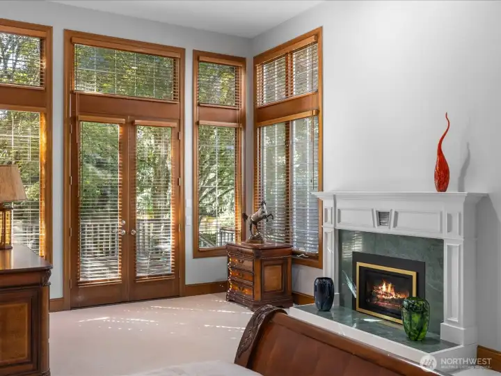 Peaceful Primary bedroom with southern windows (new windows with UV protection), updated fireplace, and french doors leading out to the back yard and deck.