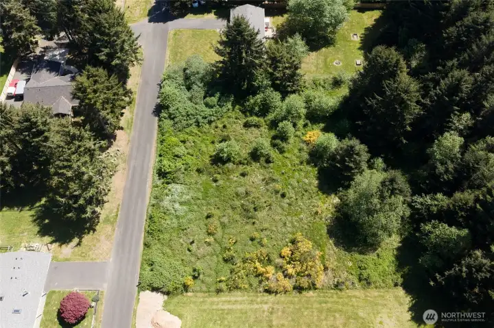 Level lots with some nice mature trees.