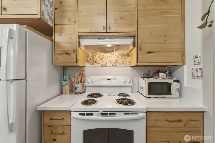 256 (ADU) Kitchen custom cabinetry