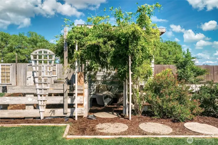 Wisteria tree at garden entrance
