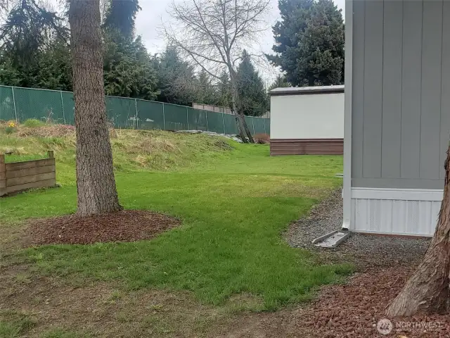 Another view of the back yard.