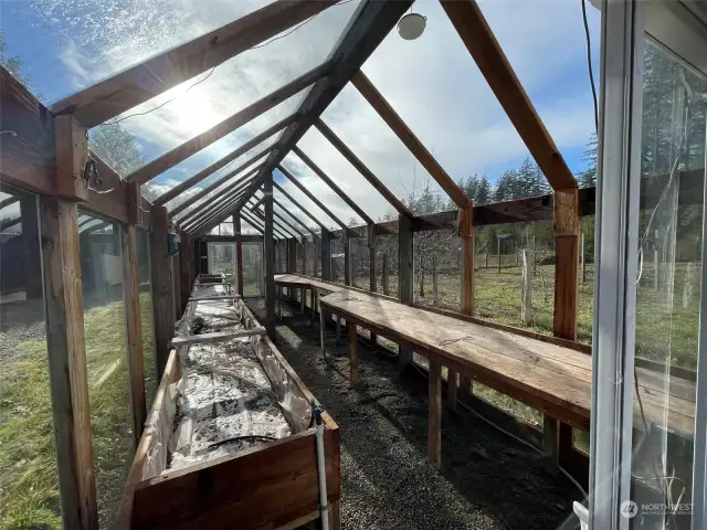 View of the large greenhouse that has solar powered lights, radio, and in the foreground is a water spigot with the water coming from the solar powered pump, from water collected by the barn's roof and draining into 8 barrels.