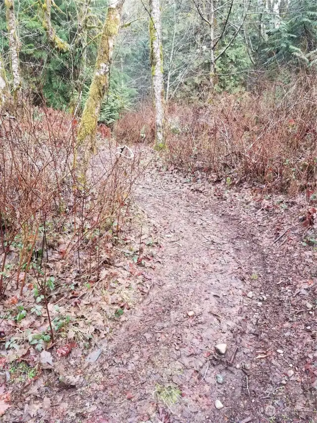 The path/roadway going up the other end of the property past the creek and cove.