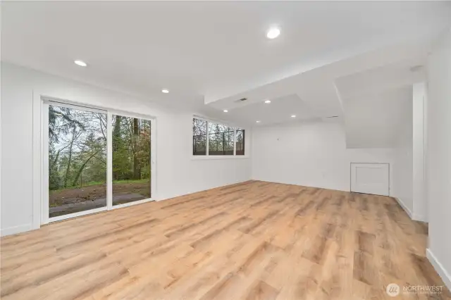 Lower level rec room