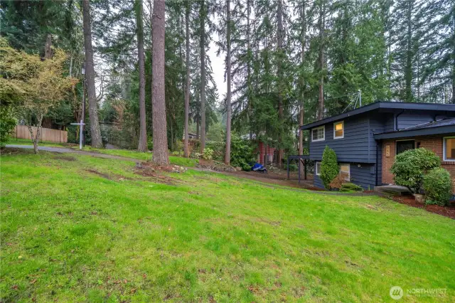 Large secluded front yard