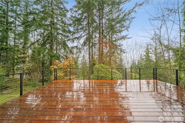 Relax among the trees