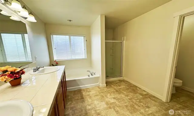Primary suite with elegant 5-pc! Frosted windows in bathroom, great for privacy & ventilation!