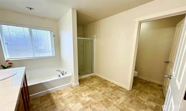 Primary suite with dual vanity, soaking bathtub, shower and a separate room for commode!