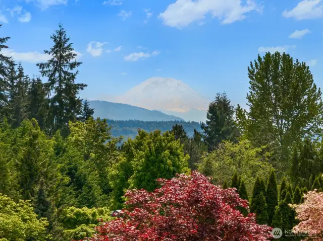 Stunning Views Of Majestic Mt. Rainier