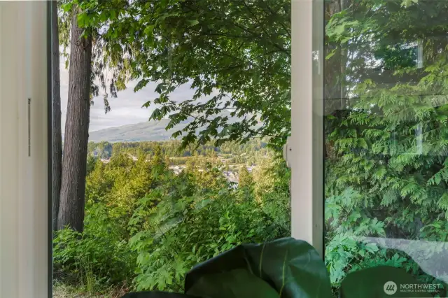 View From Living Room Window