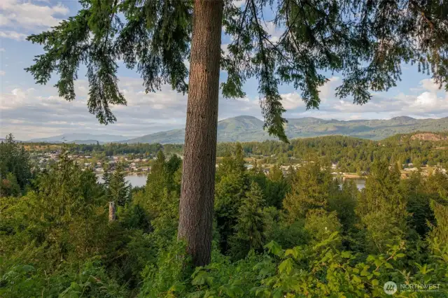 The Views Do Not Stop