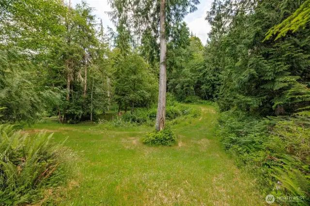 Many Trails Throughout the Acreage