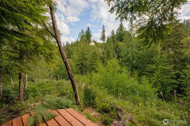 Stand on the Platform to Survey the Entire Estate