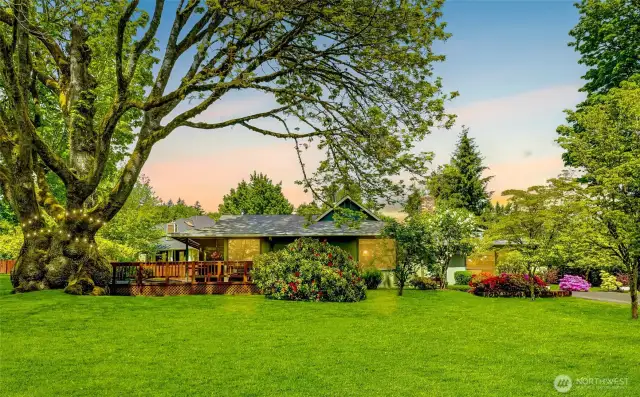 1-Acre Level Lot