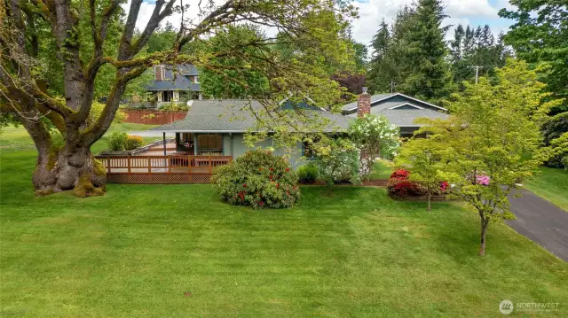 South Side of property