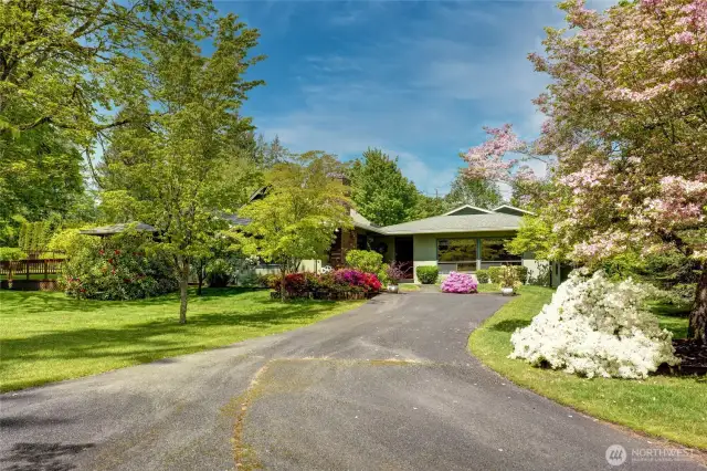 An abundance of decades old Mature Landscaping