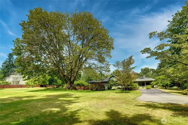 Timeless Flat 1-Acre Opportunity!