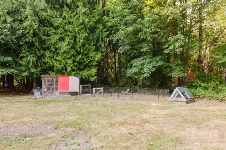 Chicken Coop worthy of your flock