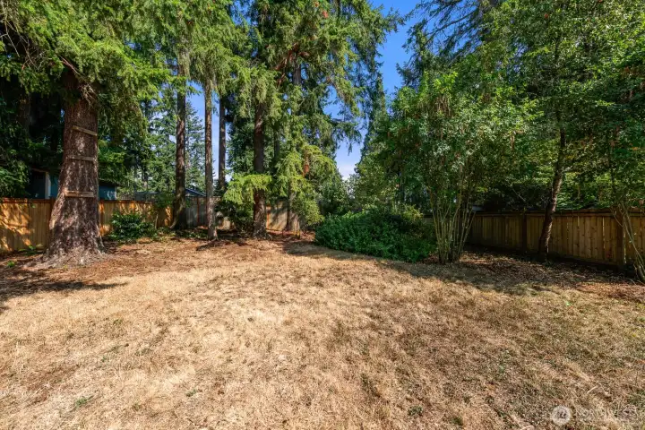 Backyard (north)  Natural, current